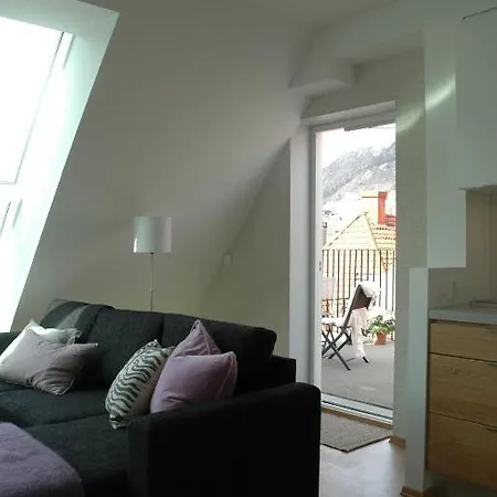 Bryggen Panorama Suites דירה
